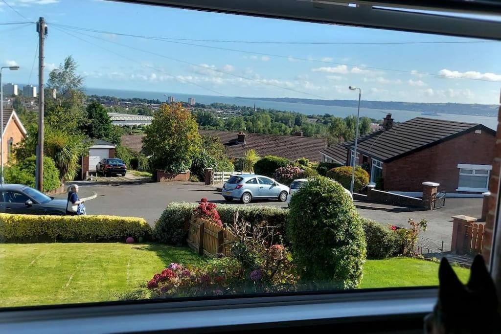 Bellevue Bungalow - Comfortable Home With Amazing Views Belfast Exterior foto