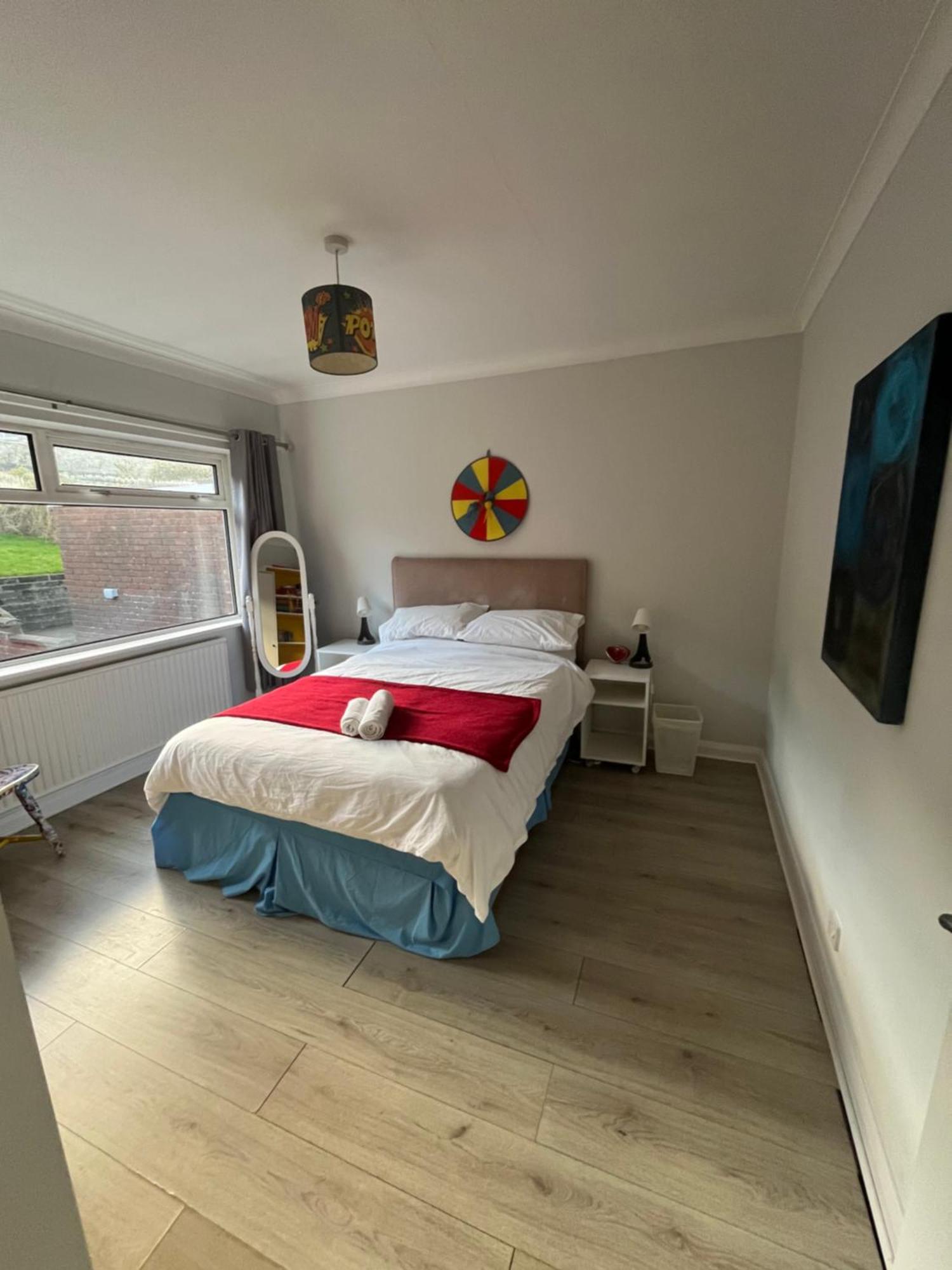 Bellevue Bungalow - Comfortable Home With Amazing Views Belfast Exterior foto